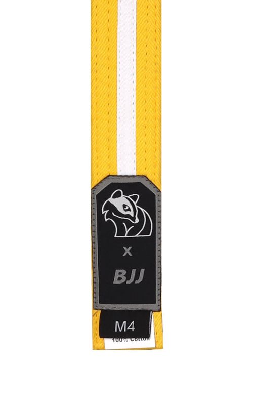 BJJ Belts for Kids