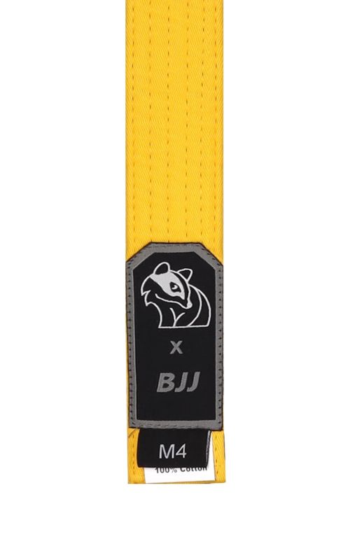 BJJ Belts for Kids