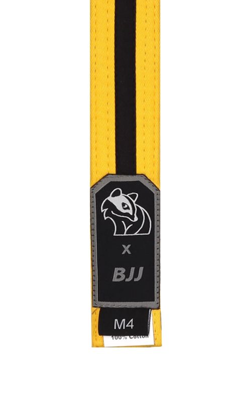 BJJ Belts for Kids