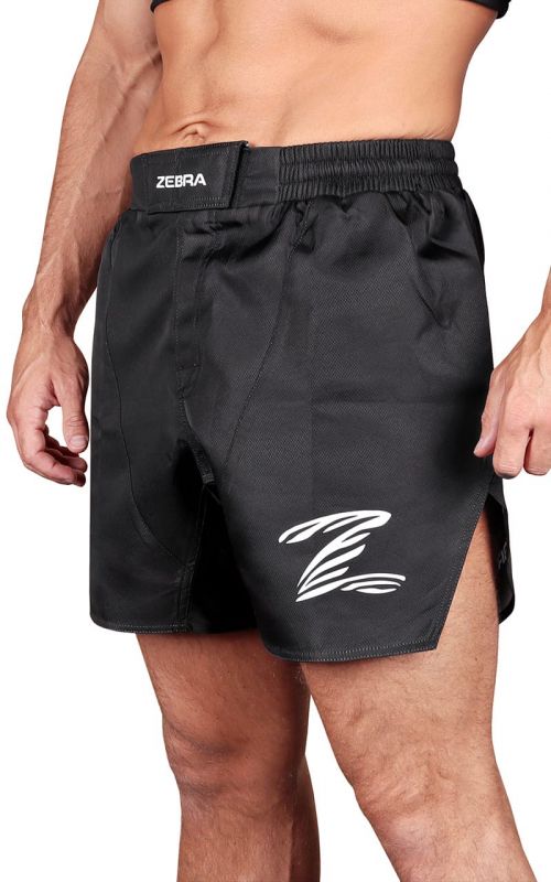 Shorts, ZEBRA Performance, black