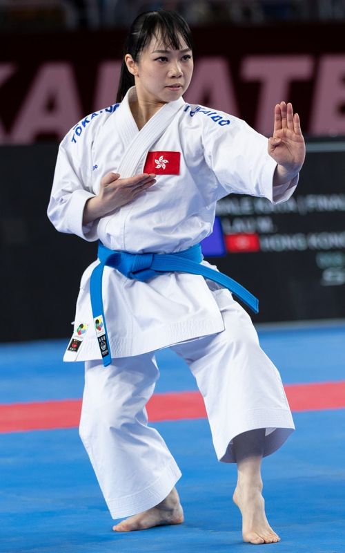 Karategi, TOKAIDO Kata Master SEN, made in Japan, WKF, 10 oz